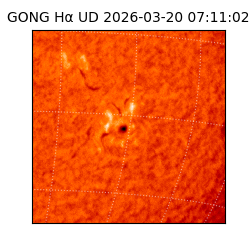 gong - 2026-03-20T07:11:02