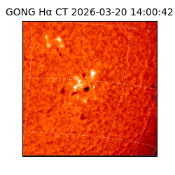 gong - 2026-03-20T14:00:42