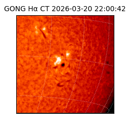 gong - 2026-03-20T22:00:42