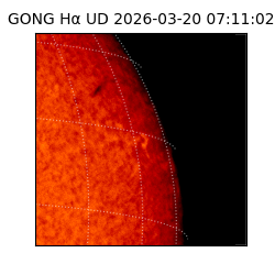 gong - 2026-03-20T07:11:02