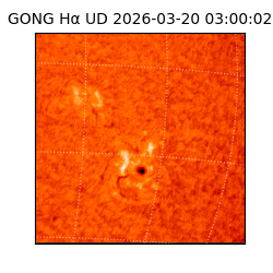 gong - 2026-03-20T03:00:02