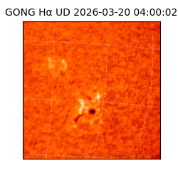 gong - 2026-03-20T04:00:02