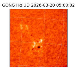 gong - 2026-03-20T05:00:02