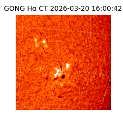 gong - 2026-03-20T16:00:42