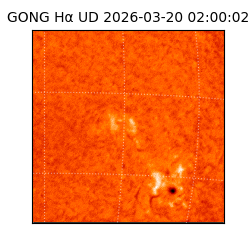 gong - 2026-03-20T02:00:02