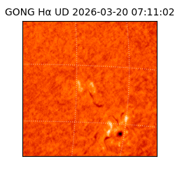 gong - 2026-03-20T07:11:02