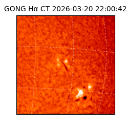 gong - 2026-03-20T22:00:42