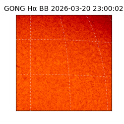 gong - 2026-03-20T23:00:02