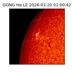 gong - 2026-03-20T01:00:42