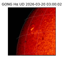 gong - 2026-03-20T03:00:02