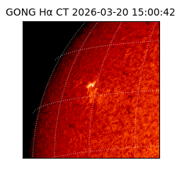 gong - 2026-03-20T15:00:42