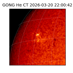 gong - 2026-03-20T22:00:42