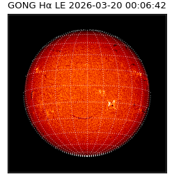 gong - 2026-03-20T00:06:42