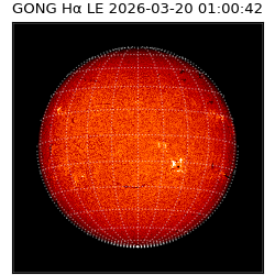 gong - 2026-03-20T01:00:42