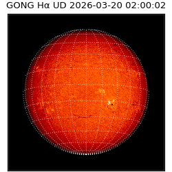 gong - 2026-03-20T02:00:02