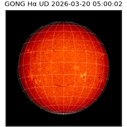 gong - 2026-03-20T05:00:02