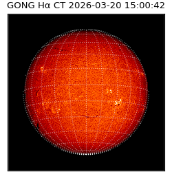 gong - 2026-03-20T15:00:42
