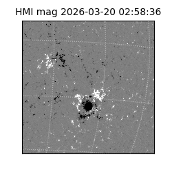 shmi - 2026-03-20T02:58:36