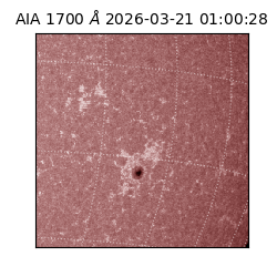 saia - 2026-03-21T01:00:28.446000