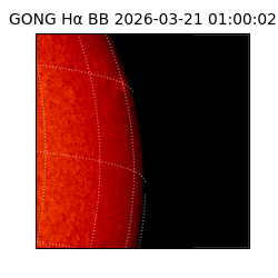 gong - 2026-03-21T01:00:02