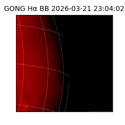 gong - 2026-03-21T23:04:02