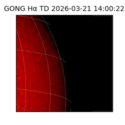 gong - 2026-03-21T14:00:22