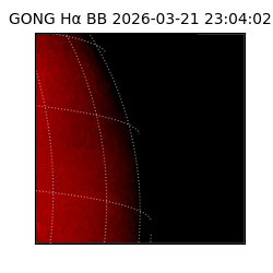 gong - 2026-03-21T23:04:02