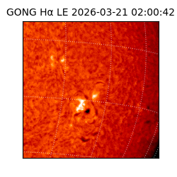 gong - 2026-03-21T02:00:42