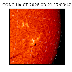 gong - 2026-03-21T17:00:42