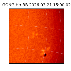 gong - 2026-03-21T15:00:02