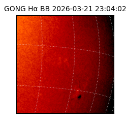 gong - 2026-03-21T23:04:02