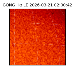 gong - 2026-03-21T02:00:42