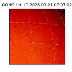 gong - 2026-03-21T07:07:02