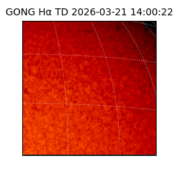 gong - 2026-03-21T14:00:22