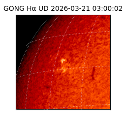 gong - 2026-03-21T03:00:02