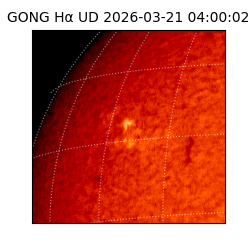 gong - 2026-03-21T04:00:02