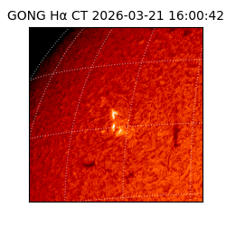 gong - 2026-03-21T16:00:42