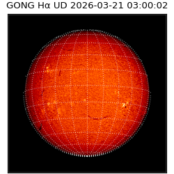gong - 2026-03-21T03:00:02