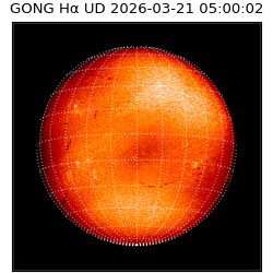 gong - 2026-03-21T05:00:02