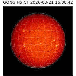 gong - 2026-03-21T16:00:42