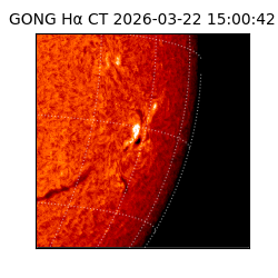 gong - 2026-03-22T15:00:42