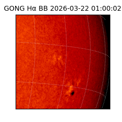 gong - 2026-03-22T01:00:02