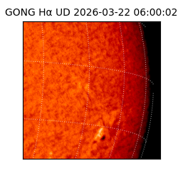 gong - 2026-03-22T06:00:02