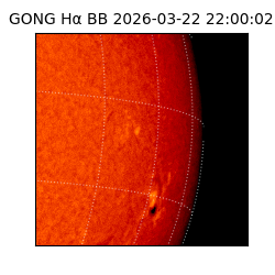 gong - 2026-03-22T22:00:02