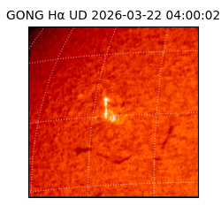 gong - 2026-03-22T04:00:02