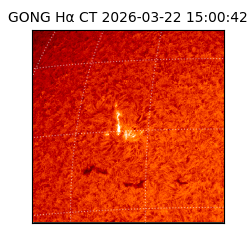 gong - 2026-03-22T15:00:42