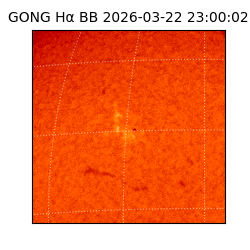 gong - 2026-03-22T23:00:02