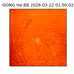 gong - 2026-03-22T01:00:02