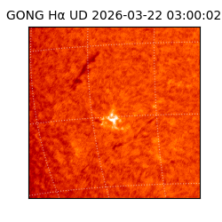 gong - 2026-03-22T03:00:02