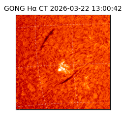 gong - 2026-03-22T13:00:42